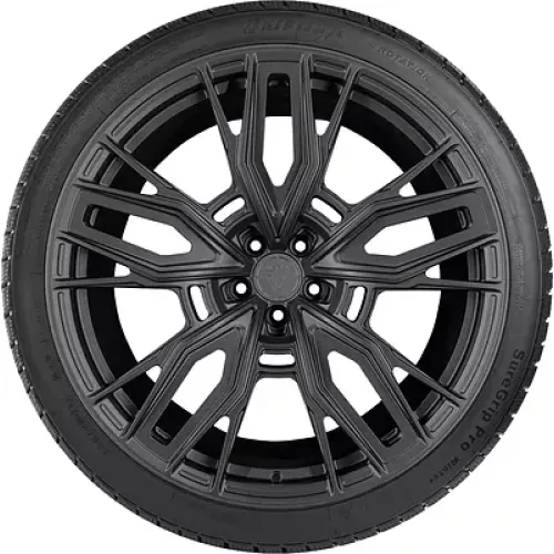 Gripmax SureGrip eWinter 255/60 R20 113V