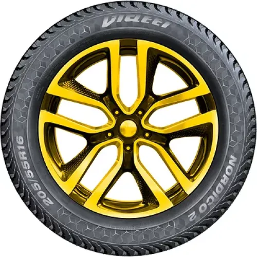 Viatti Nordico 2 225/55 R17 101T