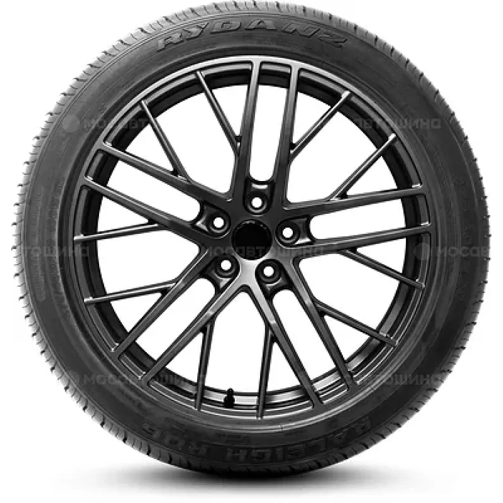 Rydanz Raleigh R06 285/50 R20 116V XL
