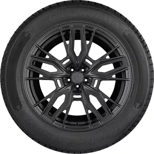 Gripmax Grip Ice X SUV 225/55 R19 103H