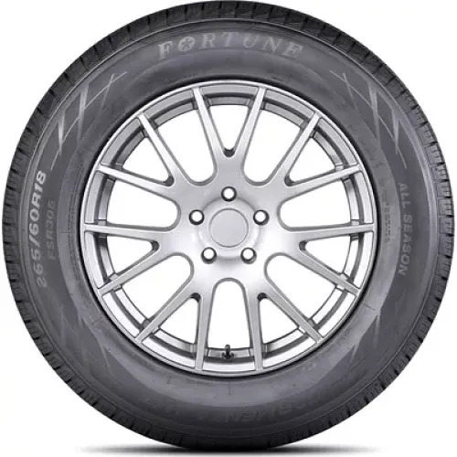Fortune FSR-305 285/45 R22 114H XL