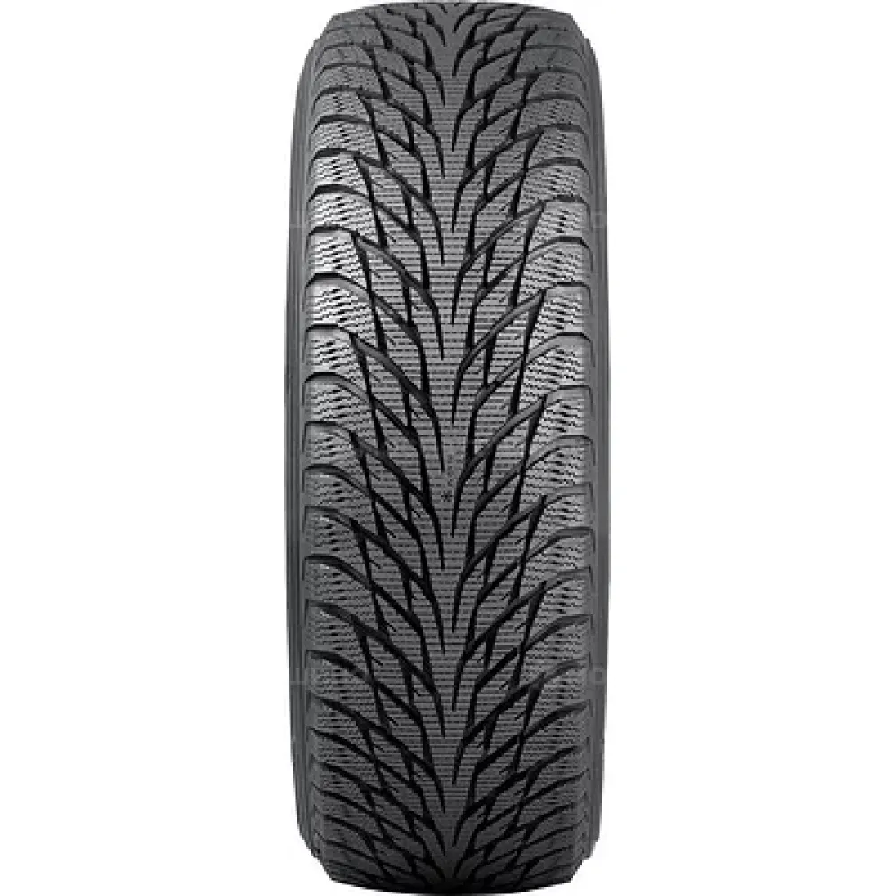 Nokian Hakkapeliitta R2 225/55 R17 101R XL