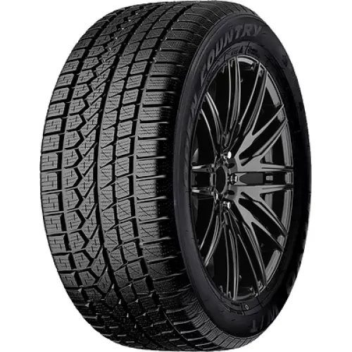 Toyo Open Country W/T 245/45 R18 100H